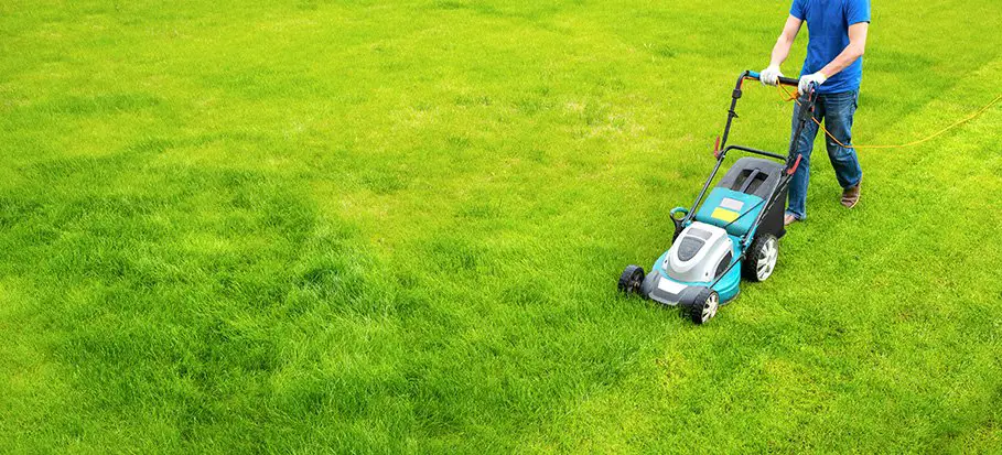 What Does Lawn Care Service Includes and How Much Does it ...
