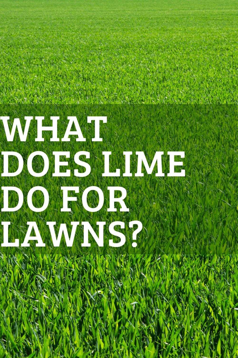 What Does Lime Do for Lawns? in 2021