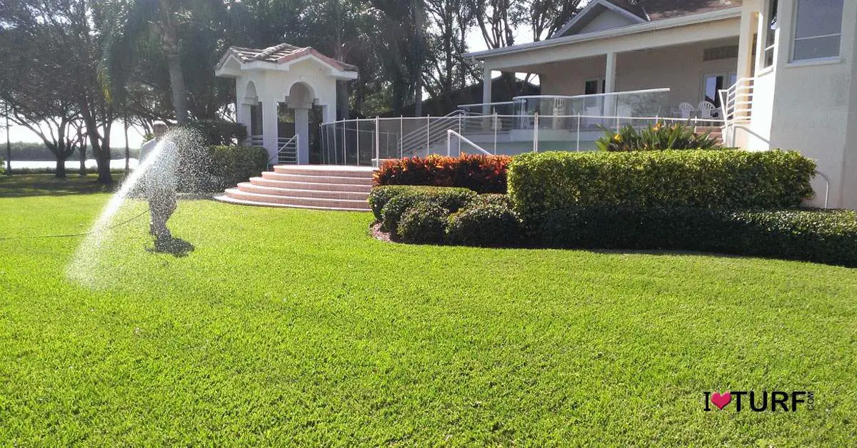 What is Lawn Spraying and How Does it Work