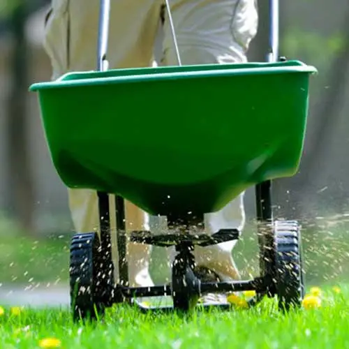 What is the best lawn fertilizer to use in the summer time?