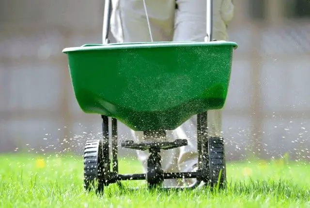 What is the Best Time of Day to Fertilize Lawn?