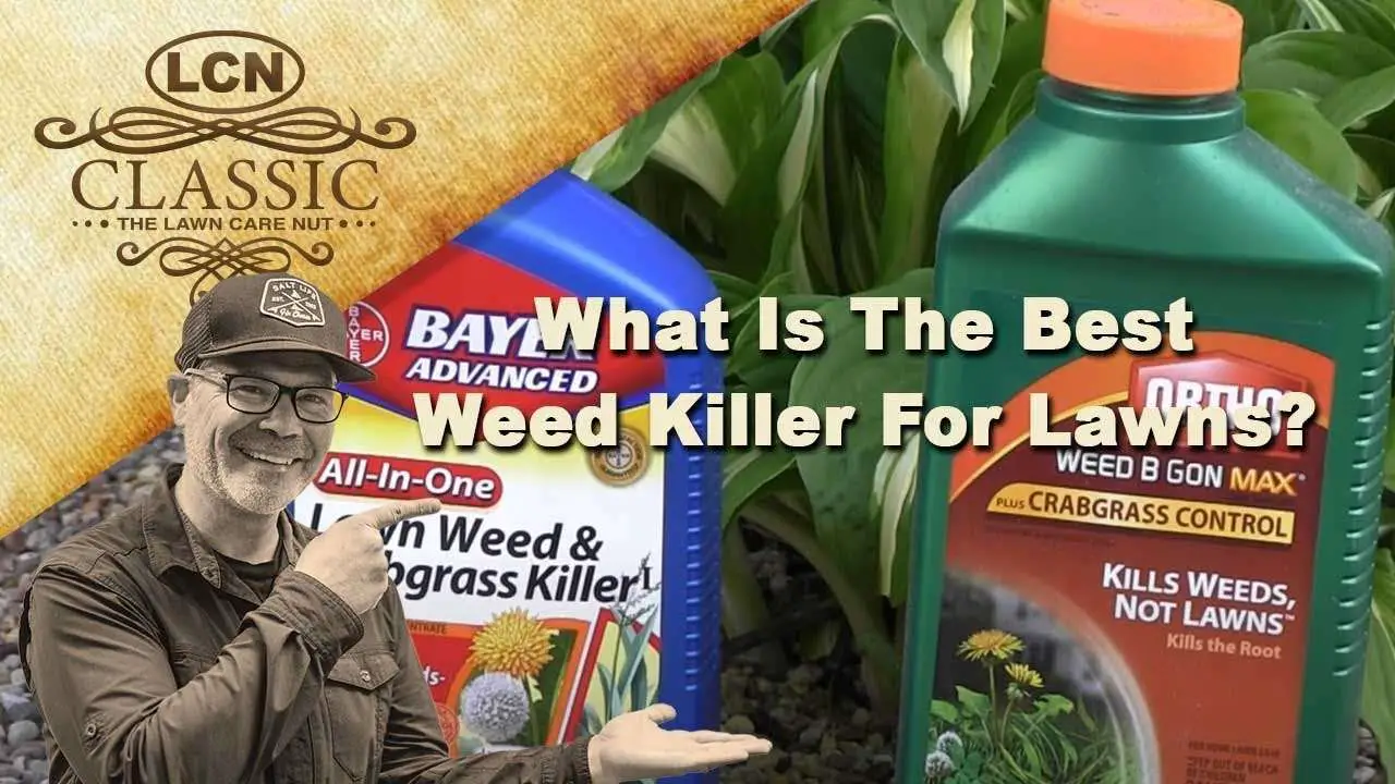 What Is The Best Weed Killer For Lawns