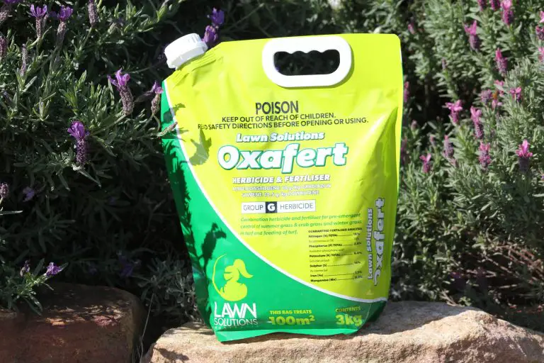 What is the Best Weed Killer for Lawns, if you have Dogs ...
