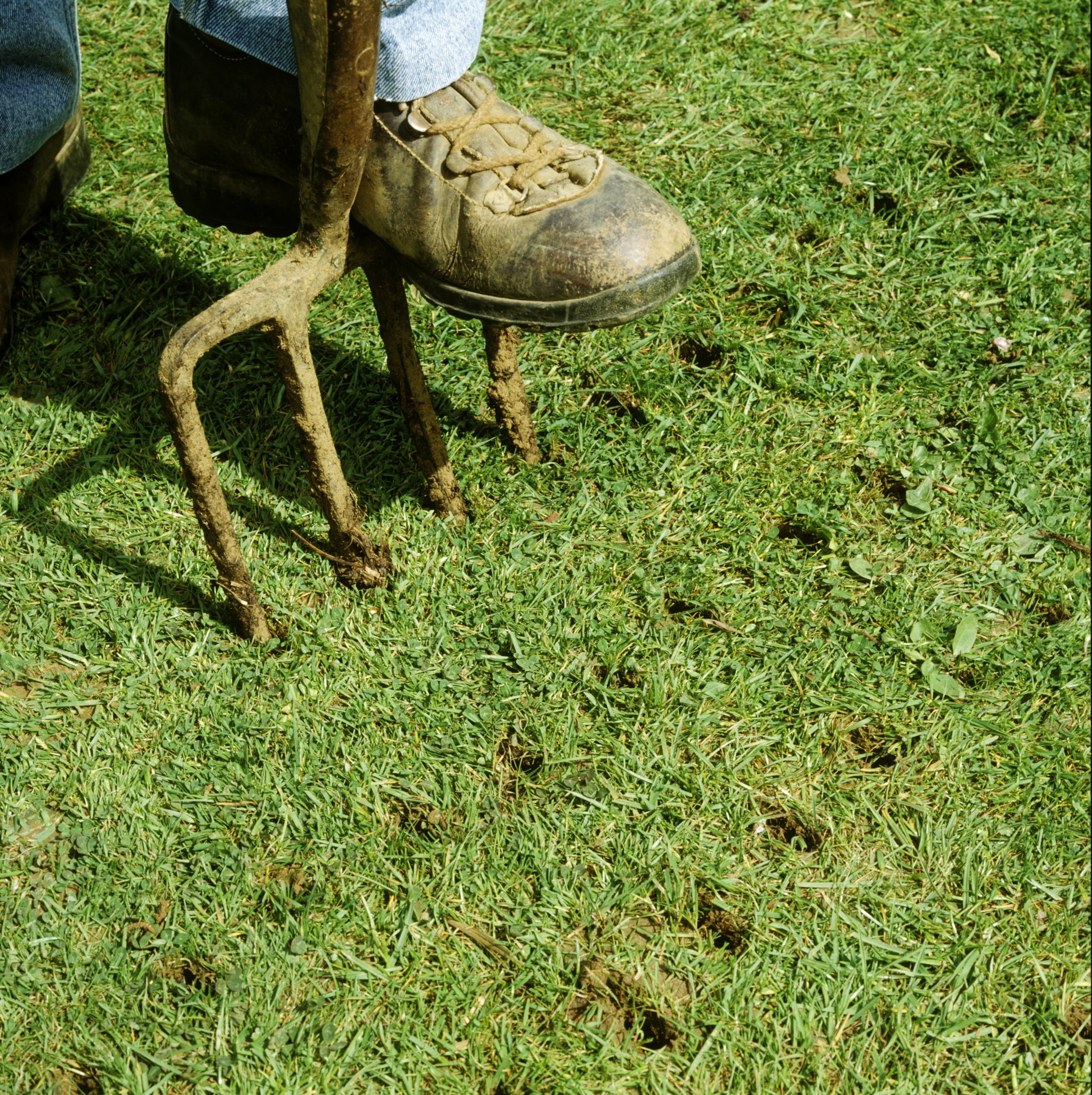 What It Is Lawn Aeration? Why, When and How It
