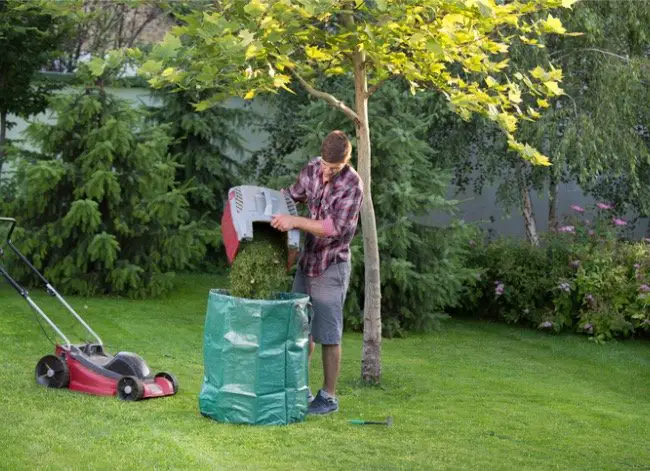 What to Do With Grass Clippings After Mowing