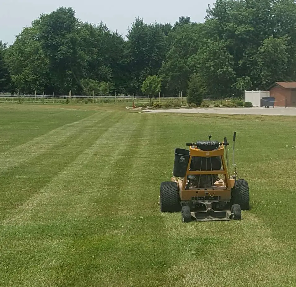 Whats the best cutting commercial walk behind mower?