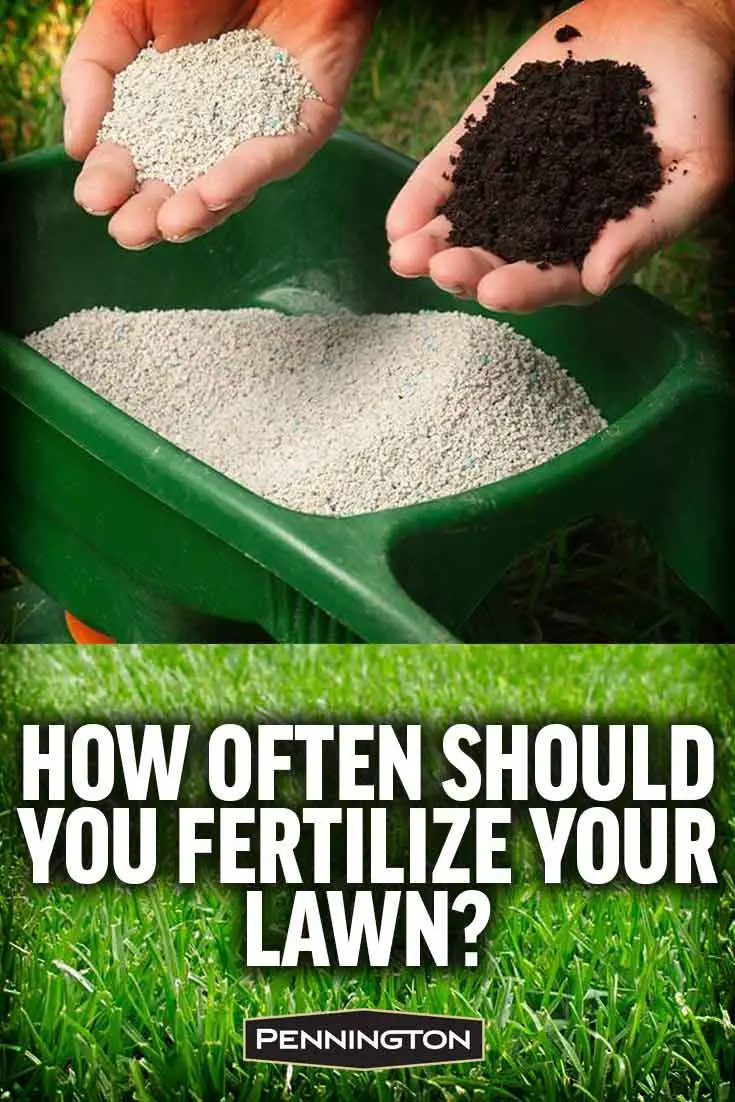 When and How to Fertilize Your Lawn â Lawn fertilizer diy in 2020 ...