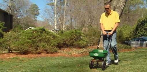 When Is the Best Time of Year to Fertilize Lawn Grass ...