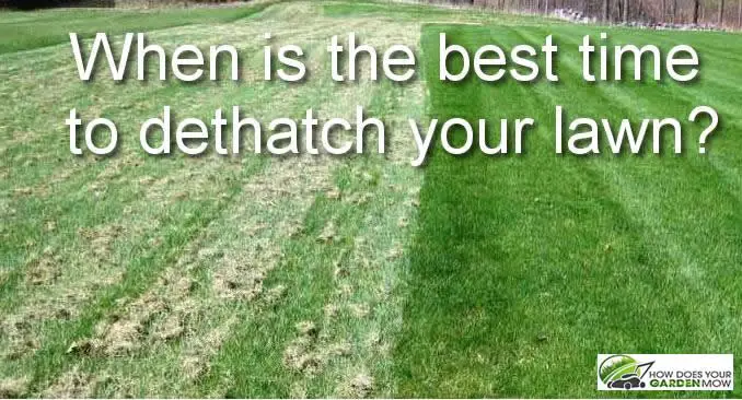 When Is the Best Time to Dethatch Your Lawn