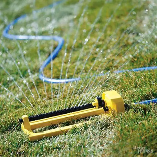 When Should I Apply a Winter Fertilizer to My Lawn?
