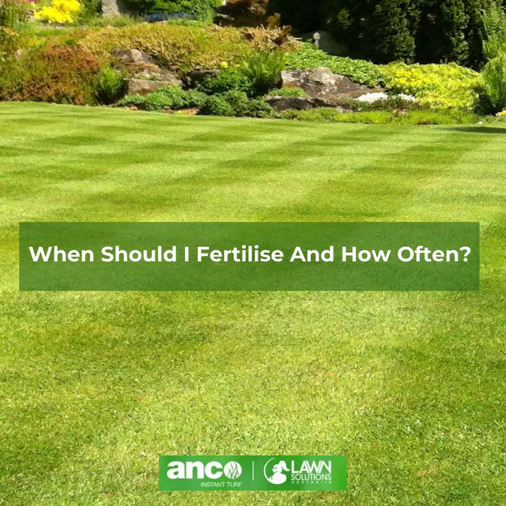 When should I fertilize and how often? Lawn fertiliser is a ...