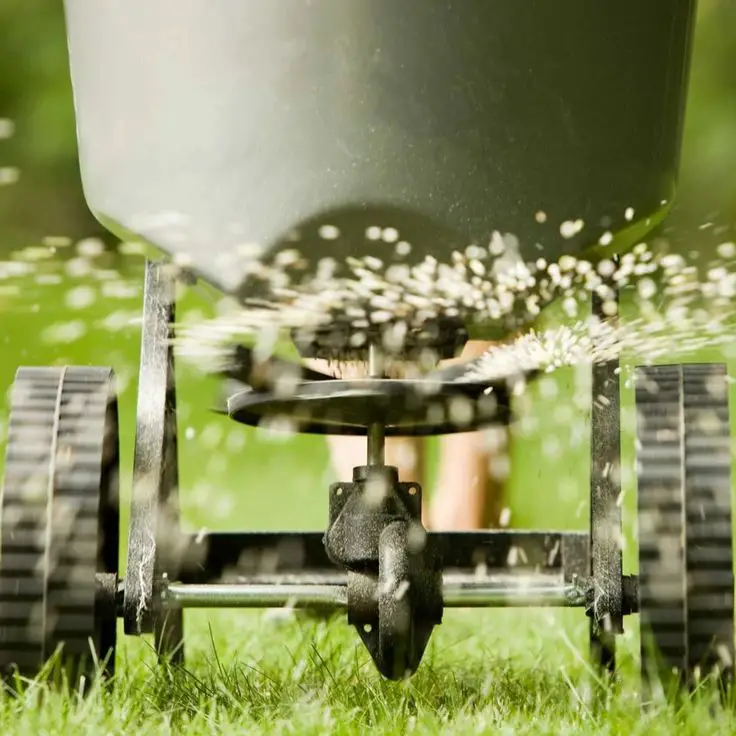 When Should I Fertilize My Lawn? in 2021