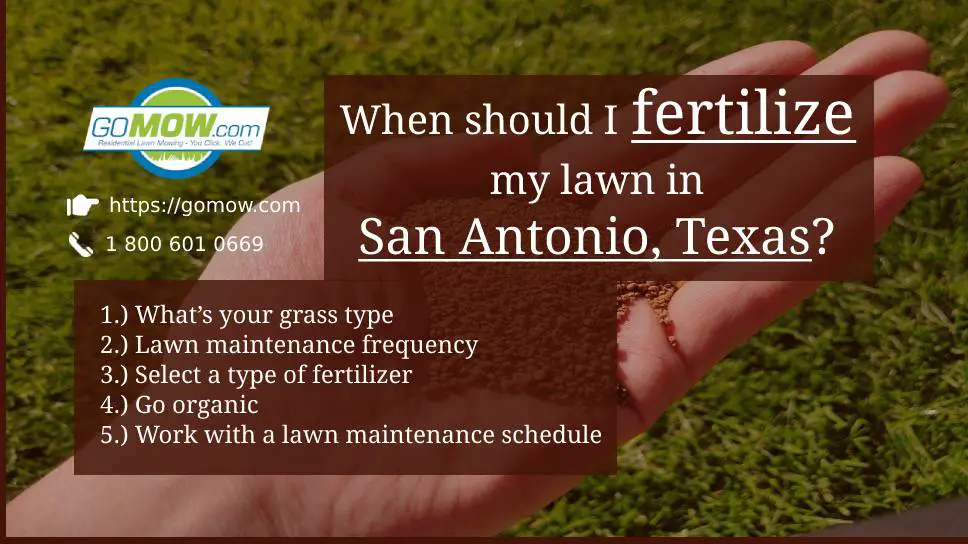 can-i-fertilize-my-lawn-in-march-lovemylawn