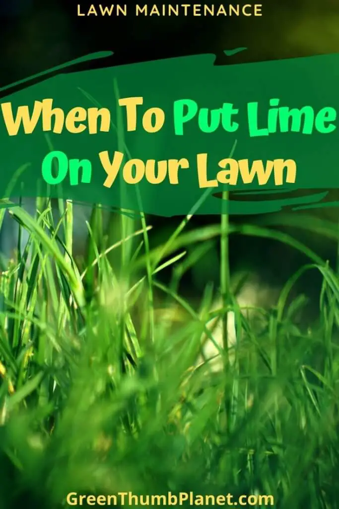 When Should I Put Lime On My Lawn? Simply Explained