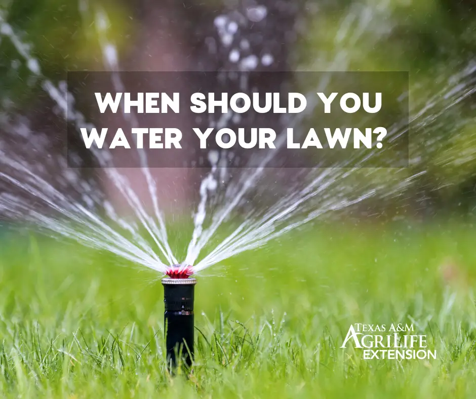 When should I water my yard? WaterMyYard has an app for that