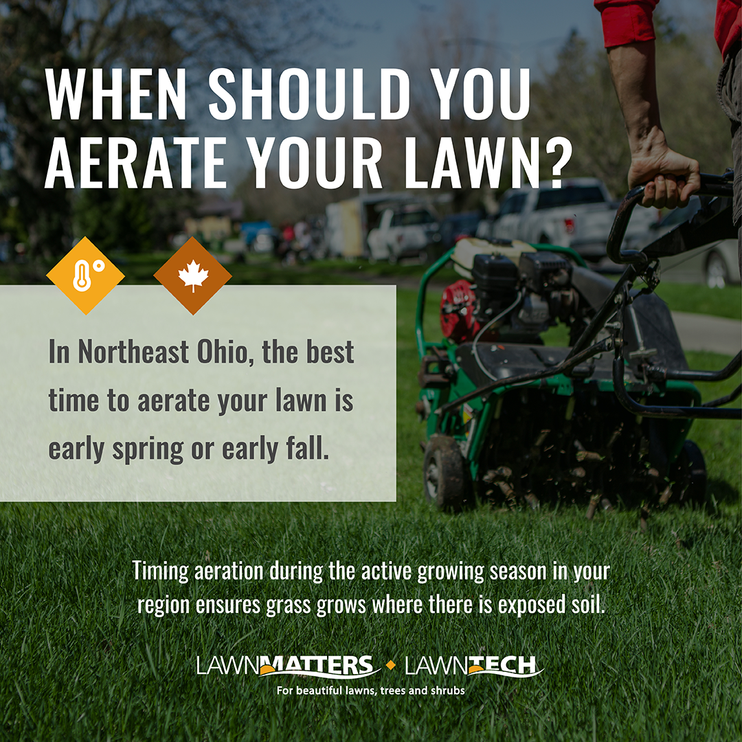 When Should You Aerate Your Lawn In Northeast, OH?