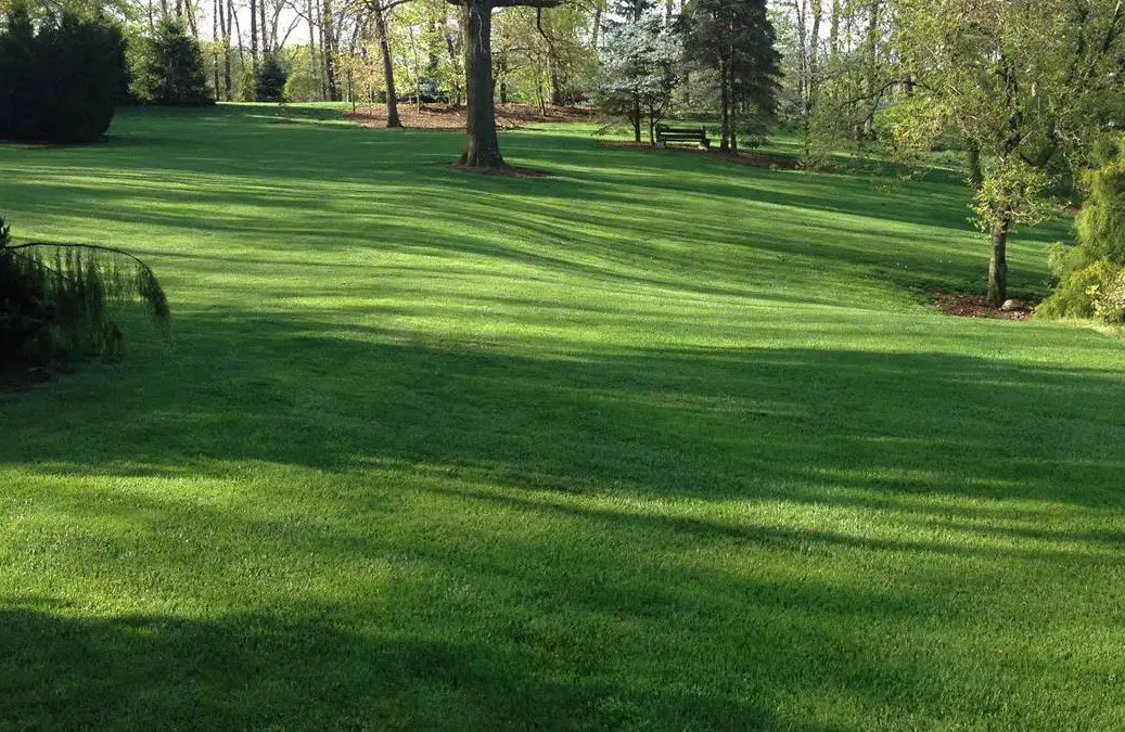When Should You Aerate Your Pennsylvania Grass?