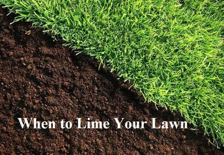 When to Lime Your Lawn