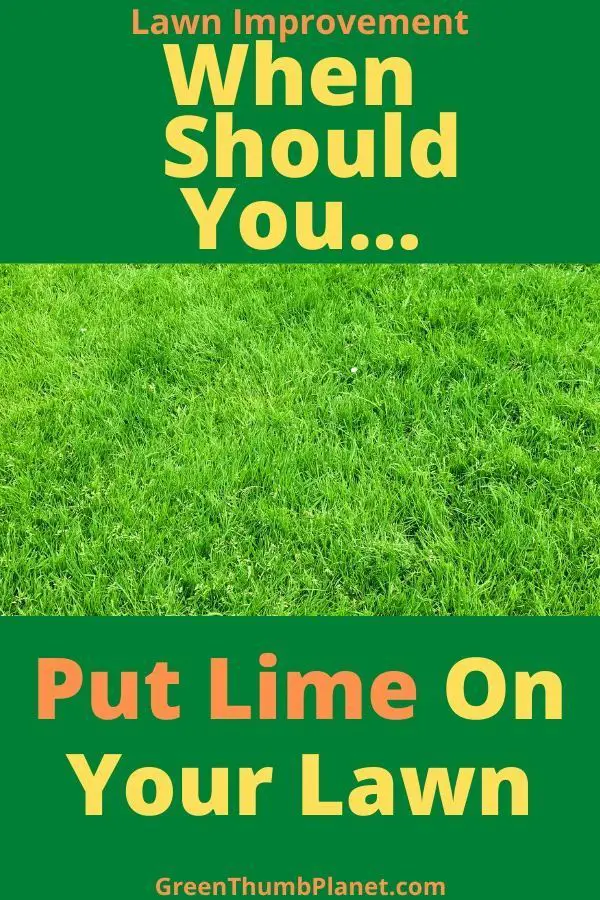 When To Put Lime On Your Lawn in 2020