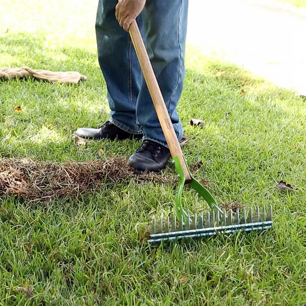 When, Why and How Often to Dethatch Lawn