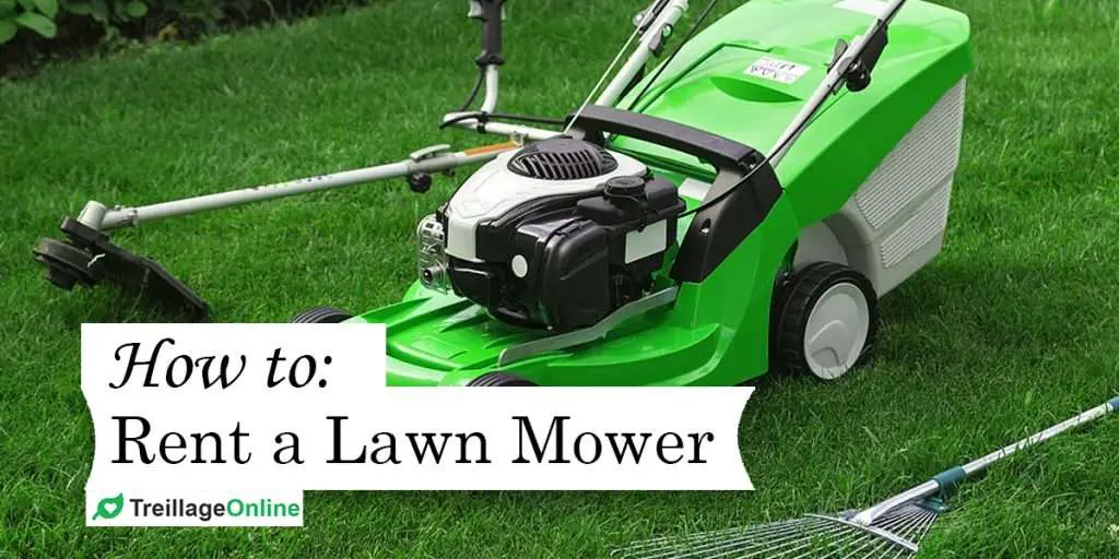 Where Can I Rent a Lawn Mower Near Me?