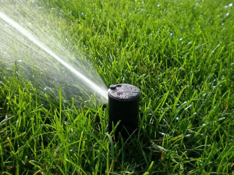 Which Sprinkler Head is Best for My Irrigation System ...