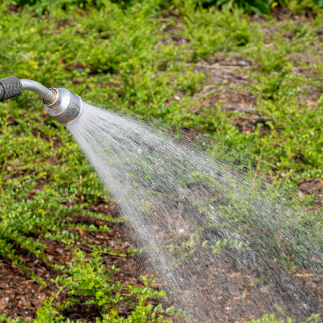 While you may need to water your lawn for summer, make ...
