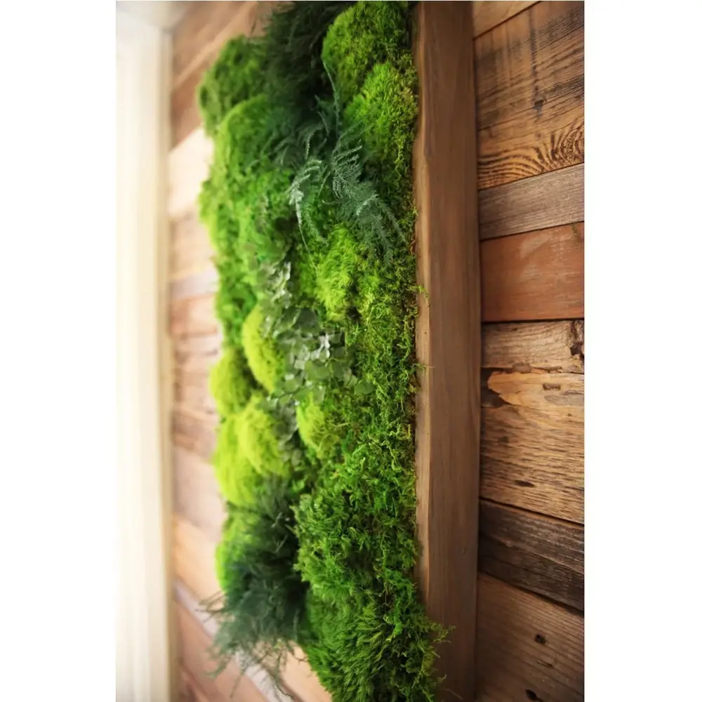Wholesale Preserved Moss Panel,Artificial Moss Ledge Grass ...
