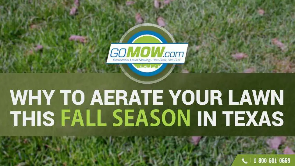 Why aerate your lawn this fall season in Texas