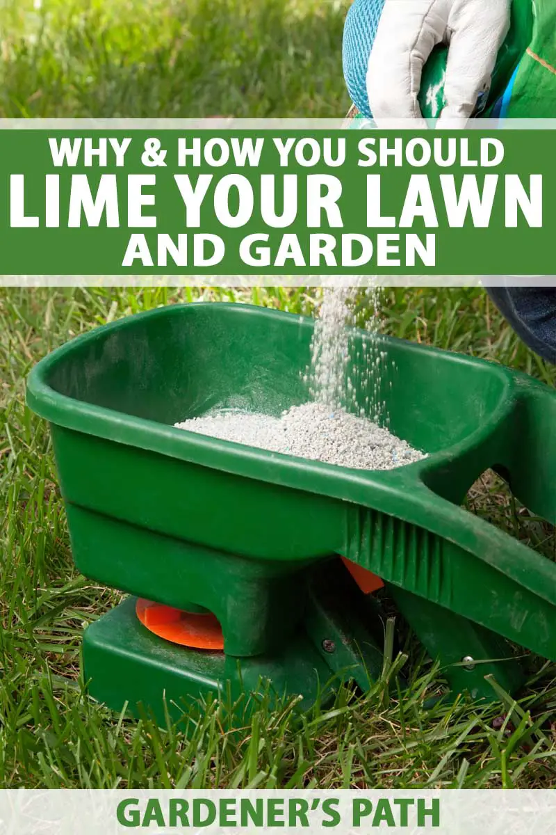 Why &  How You Should Lime Your Lawn and Garden