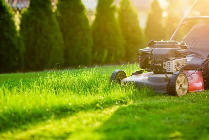 Why Lawn Care Is Important