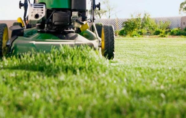 Why Lawn Care Is So Important To The Way Your Home Looks ...