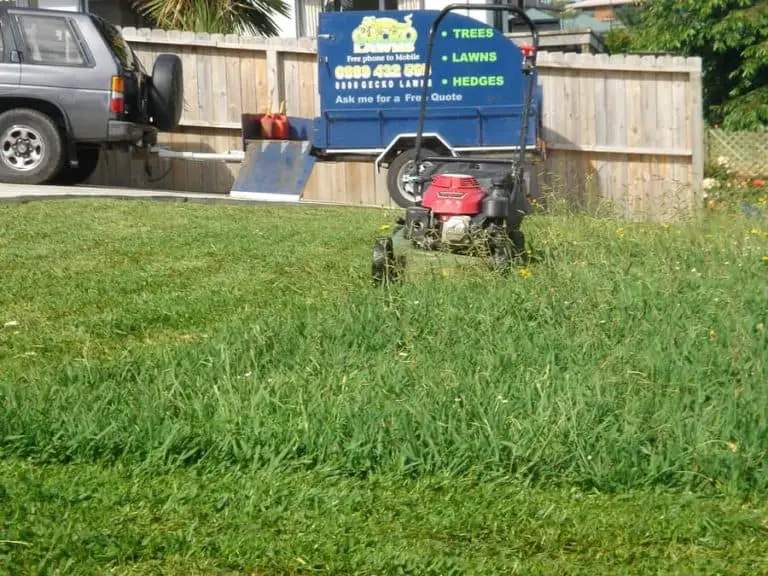 Why should I start a lawn care business?