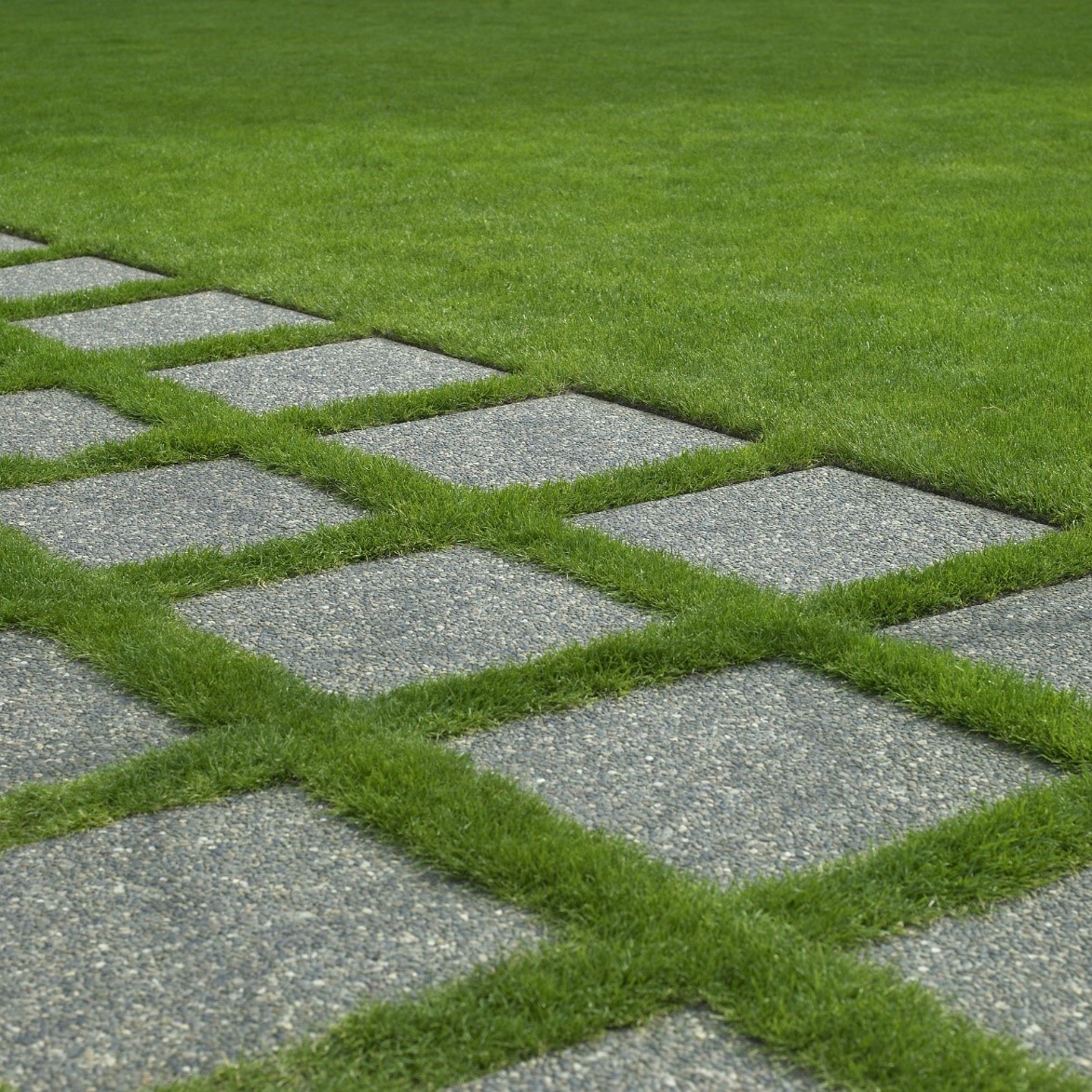 Why the Best Synthetic Grass Installation is Ideal for Driveway Design