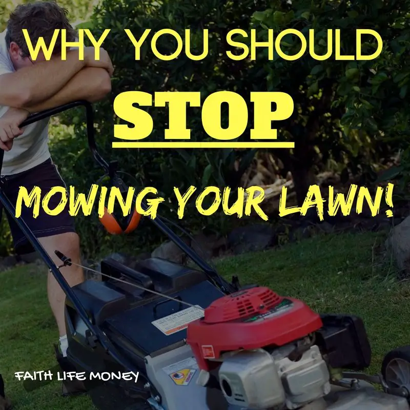 Why You Should Stop Mowing Your Lawn