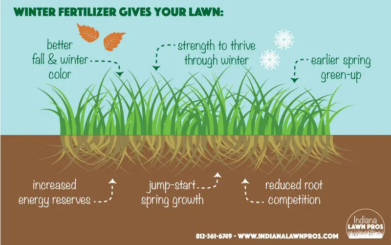 Winter fertilizer helps your lawn survive the cold weather &  green up ...