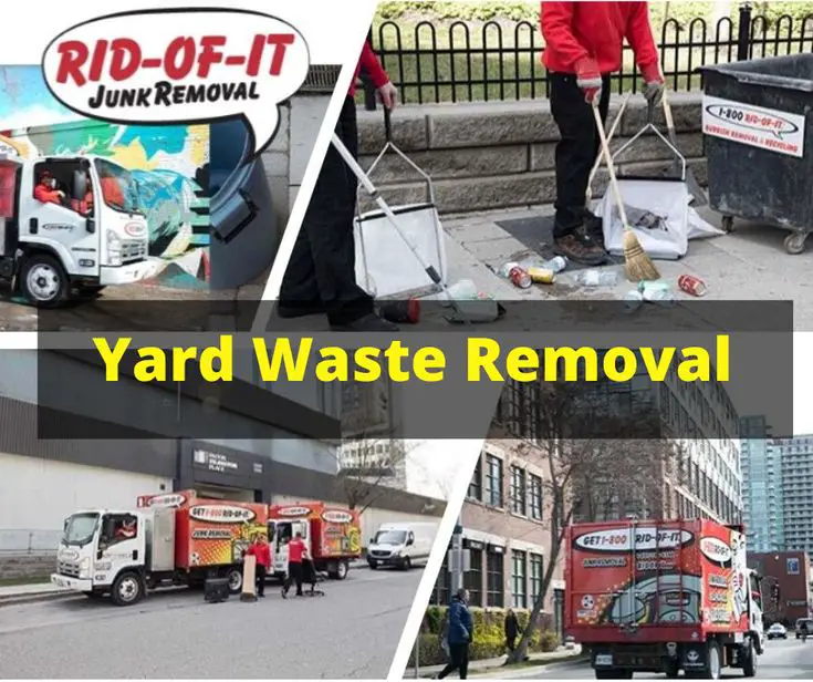Yard Waste Removal Services in Toronto