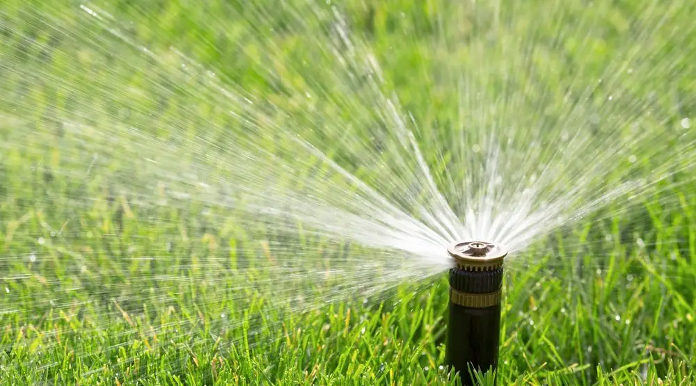 You can be fined $250 for watering your lawn on wrong days ...